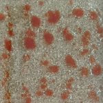 Texturizado Atardecer