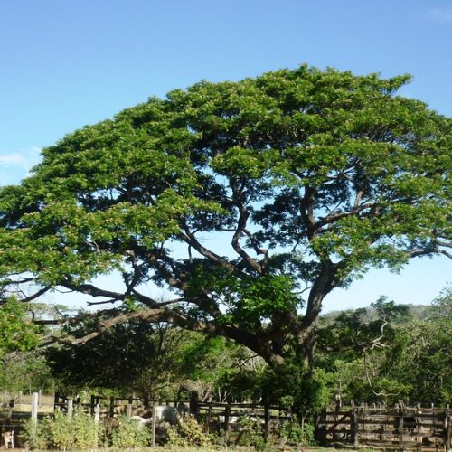 5913368465_b1d0100854_b